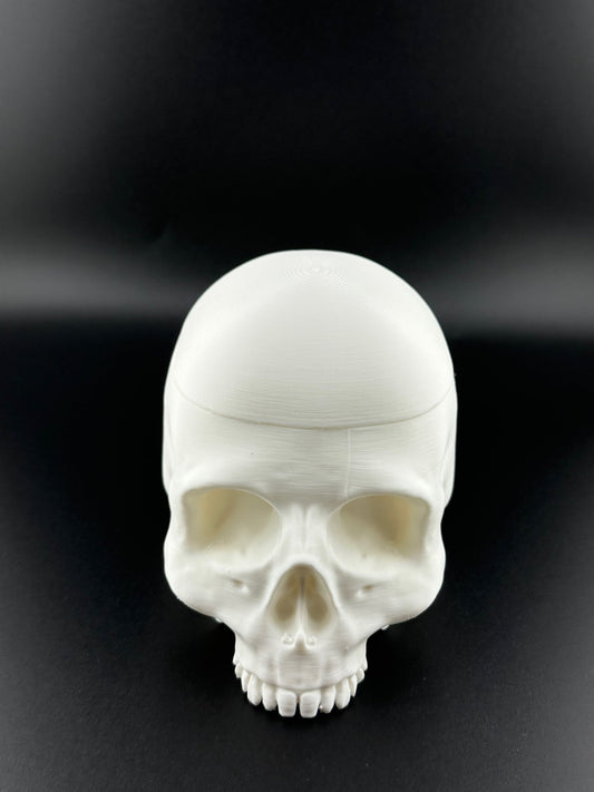 Skull Dice Box - Acworth Alchemist